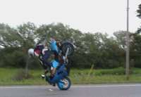 36009464.jpg