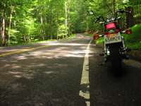 IMG_1573.jpg