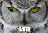 Owl-Tard.jpg