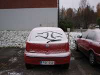 TN_IMG_4521.JPG