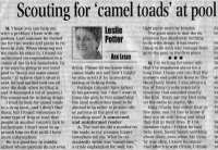 camel_toad32a.jpg