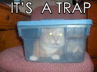 cat trap.gif