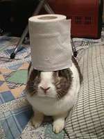 oolongchef.jpg