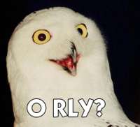 orly_owl666.jpg