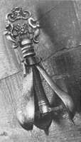 vaginal-pear-02.jpg