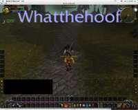 what_the_hoof_running.jpg