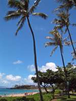IMG_2629.jpg