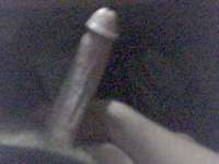 Picture 84.jpg