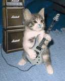 kat.gif