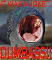 DUMBASS.JPG
