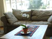 plants1.jpg
