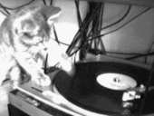 DJ.gif