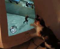 GTA.gif