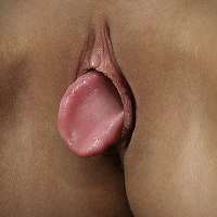 cuntongue.jpg