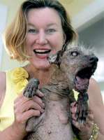 ugliest dog-752587.jpg