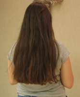 longhair.jpg