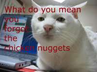 637_cat-nuggets.jpg