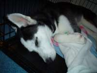 DSC02344.jpg