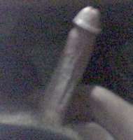 508541526.jpg