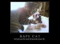 Rape cat.JPG