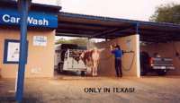 redneck_carwash.jpg