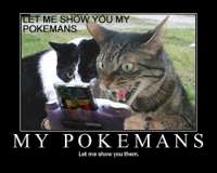 011_pokemancat.jpg