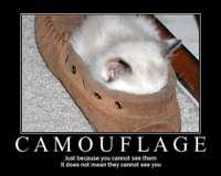 335_camouflage.jpg