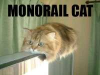 602_834_MonorailCat.jpg