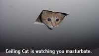 ceiling_Cat.jpg