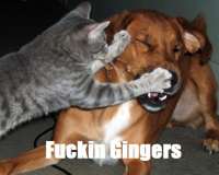 fgingers.JPG