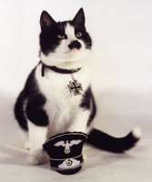 103_kitler30.jpg