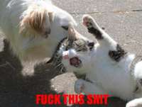 FUCK.JPG