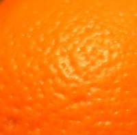 orange-tamron.jpg