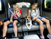 CarSeats1_530.jpg