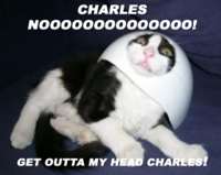 catcharles.jpg