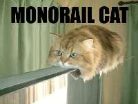 monorail_cat_zoom.gif