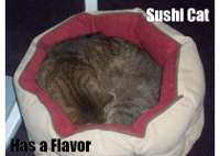 sushiwd5.jpg