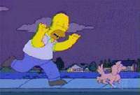 Homer Simpson Chase.gif