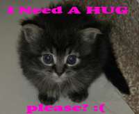 Hugplease.jpg