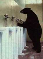 animal023.jpg