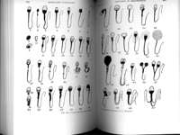 integrated2 copy.jpg