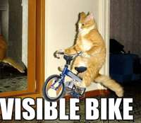 visiblebike.jpg