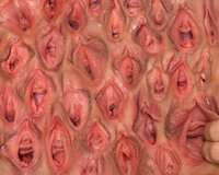 wall_of_vagina.jpg