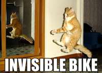 562_Invisible_Bike.jpg