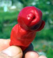 PeterPepper3.jpg
