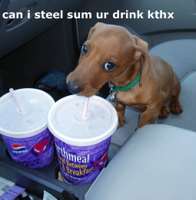 drink.jpeg