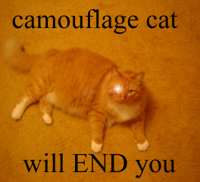 end cat.jpg