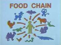 foodchain.jpg