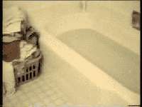 1184612322.gif