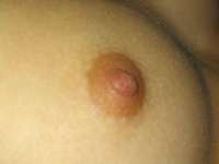 106_2.jpg